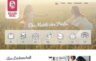 roland-mehl website showcase